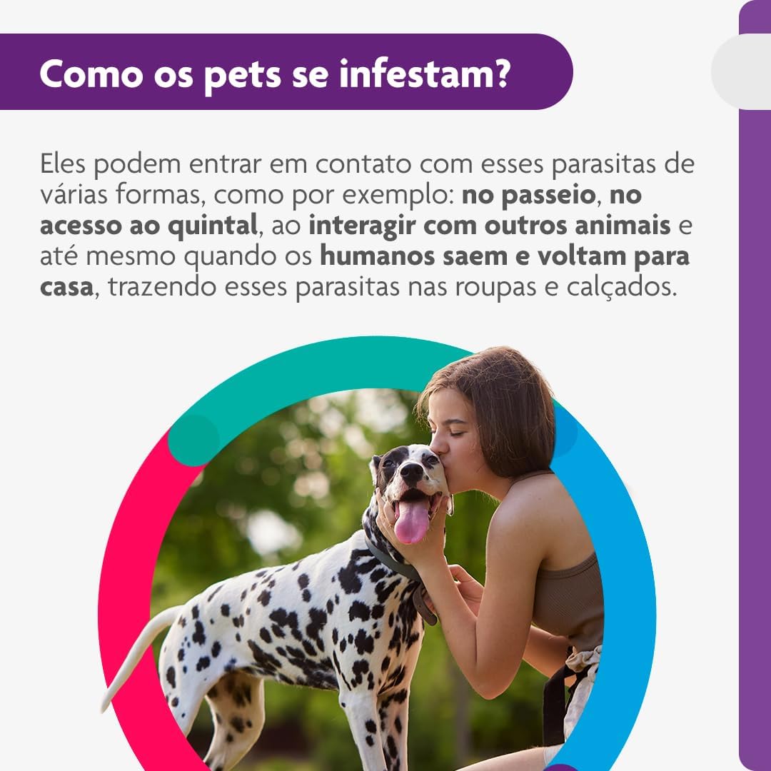 Bravecto® Cães 1000mg - Antipulgas e Carrapatos - Cães de 20 a 40kg - 1 Comp. Mastigável - MSD Saúde Animal - Image 5